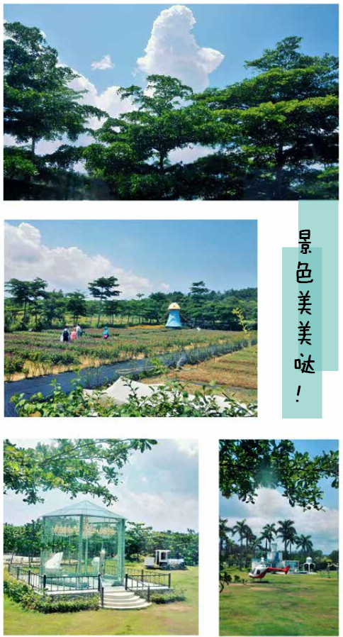 6.6 奔跑吧,深度!:原文配图 1